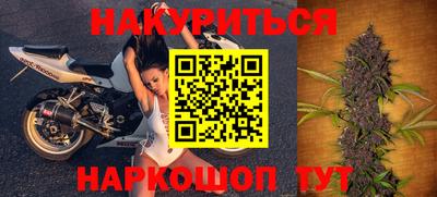 прущие грибы Краснодар