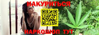 прущие грибы Краснодар