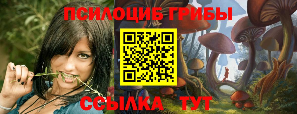 Галлюциногенные грибы Magic Shrooms  Вход с VPN  Дмитров 