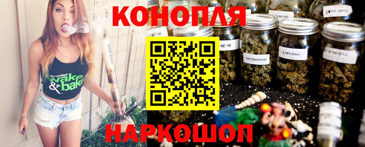 Каннабис конопля Дмитров